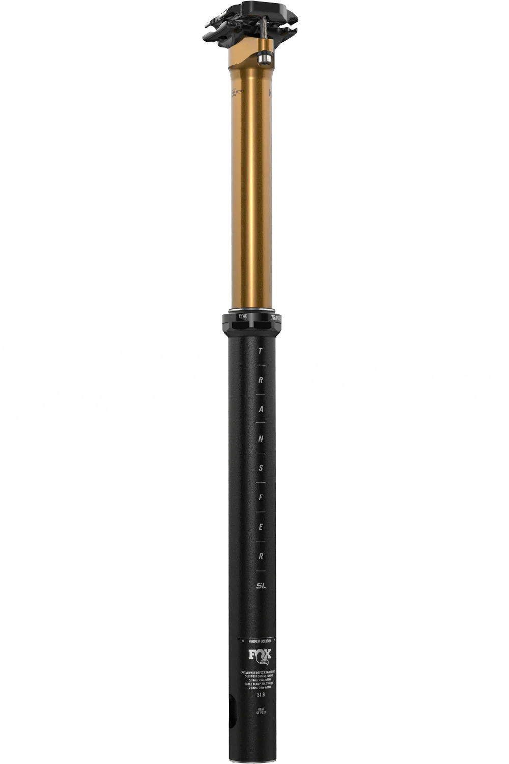 TRANSFER SL